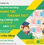 Học Bổng Ueh Đầu Vào 2022 Tphcm Điểm Học B Cs