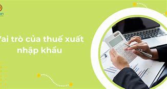 Thuế Nhập Khẩu Có Vai Trò Gì