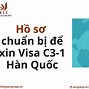 Visa Du Lịch C3